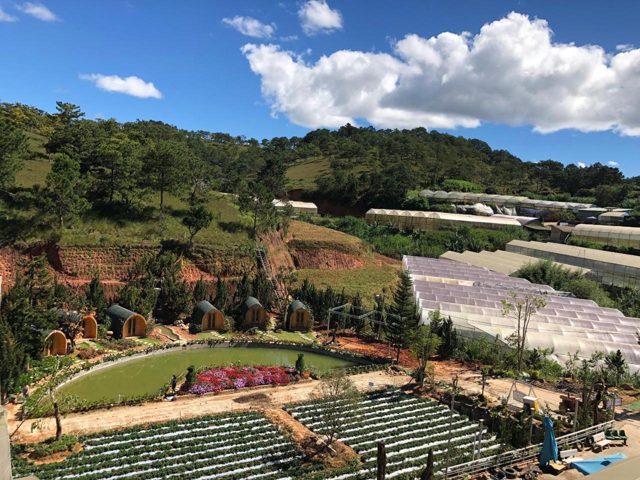 Berry Valley Homestay Đà Lạt Extérieur photo